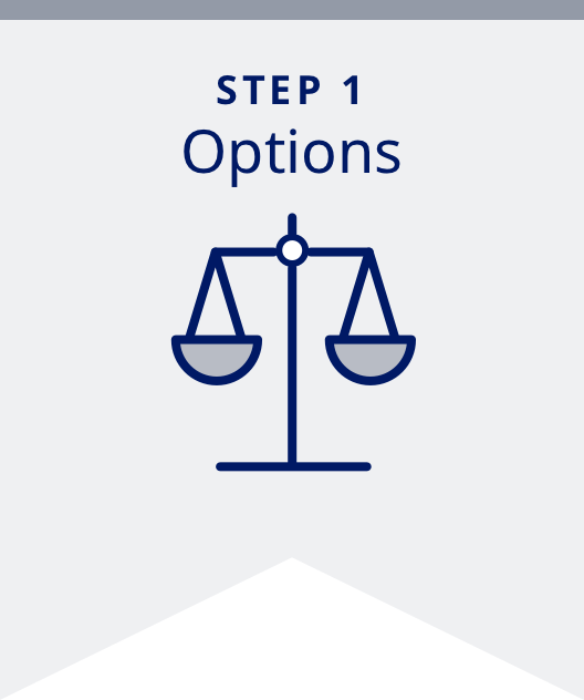 Step 1: Options banner with scale icon